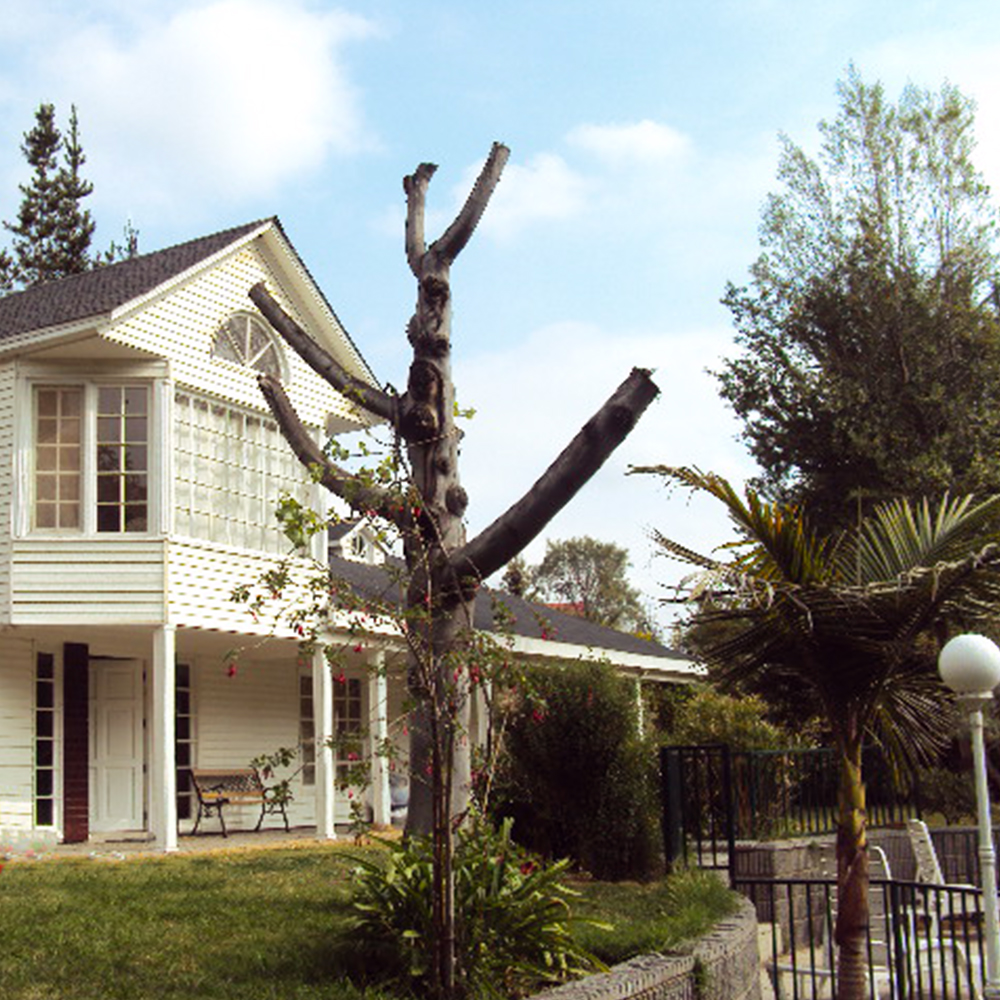 Americana_03